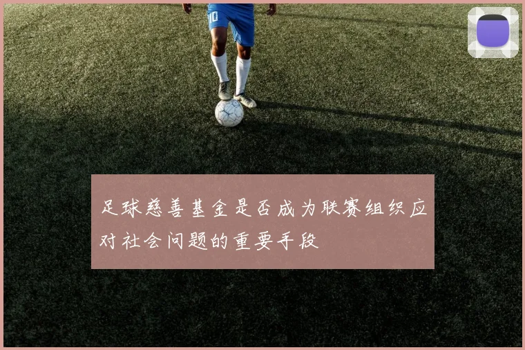 足球慈善基金是否成为联赛组织应对社会问题的重要手段